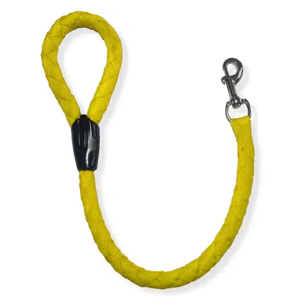 Traílla trenzada gruesa 60 cms - Imagen 2