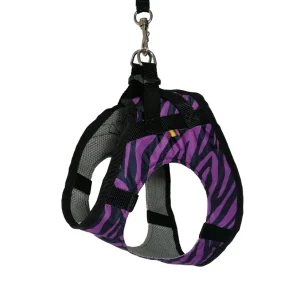 arnes de muena calidad para perros, arnes premium para perros, collar premium para perros, arnes deko