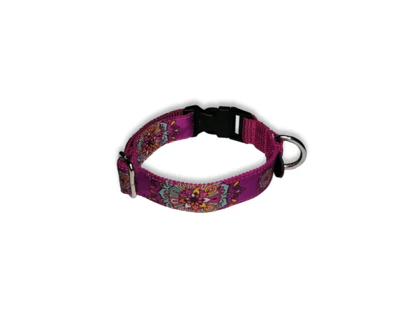 Collar Deko razas medianas chapa plástica - Imagen 4