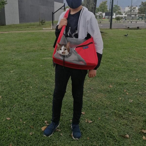 Bolso paseador gatos - Imagen 9