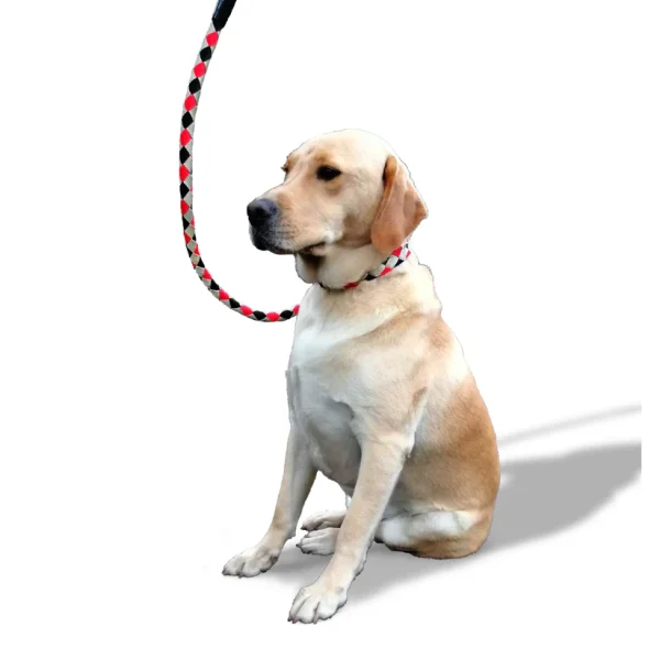 Traílla trenzada gruesa 90 cms + collar razas grandes - Imagen 10