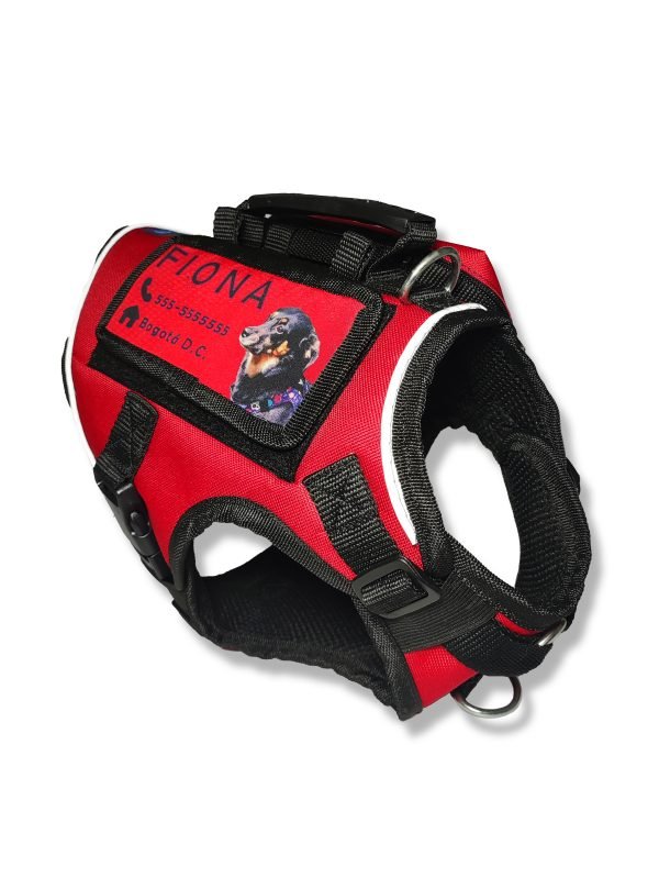 Arnés Commando Personalizado