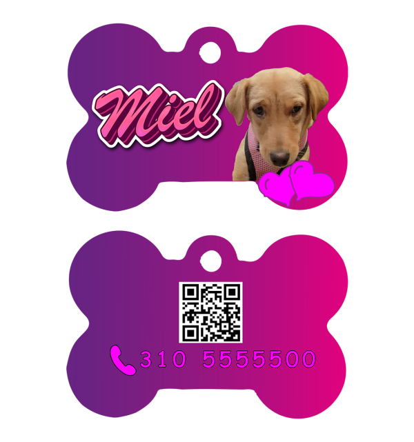 Placa de identificación para mascotas con código QR que contiene información de contacto del dueño y datos médicos de la mascota.