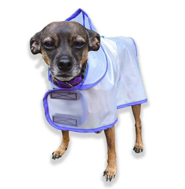 Capa para lluvia impermeable para mascotas - Imagen 2
