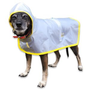 Capa para lluvia impermeable para mascotas