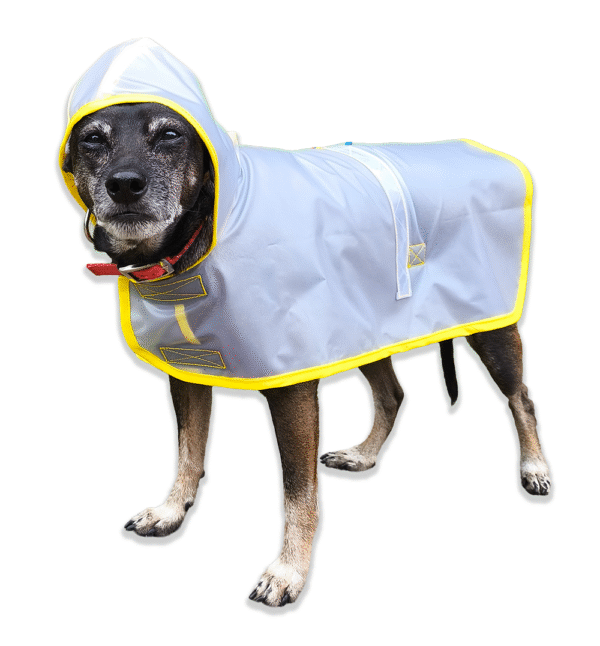 Capa para lluvia impermeable para mascotas